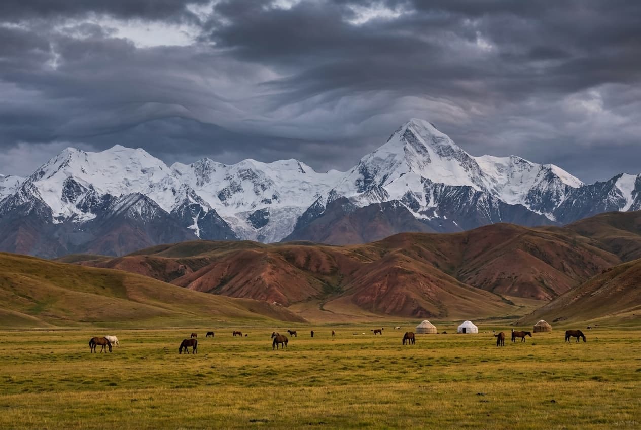 Alay Valley (Sary-Mogol)